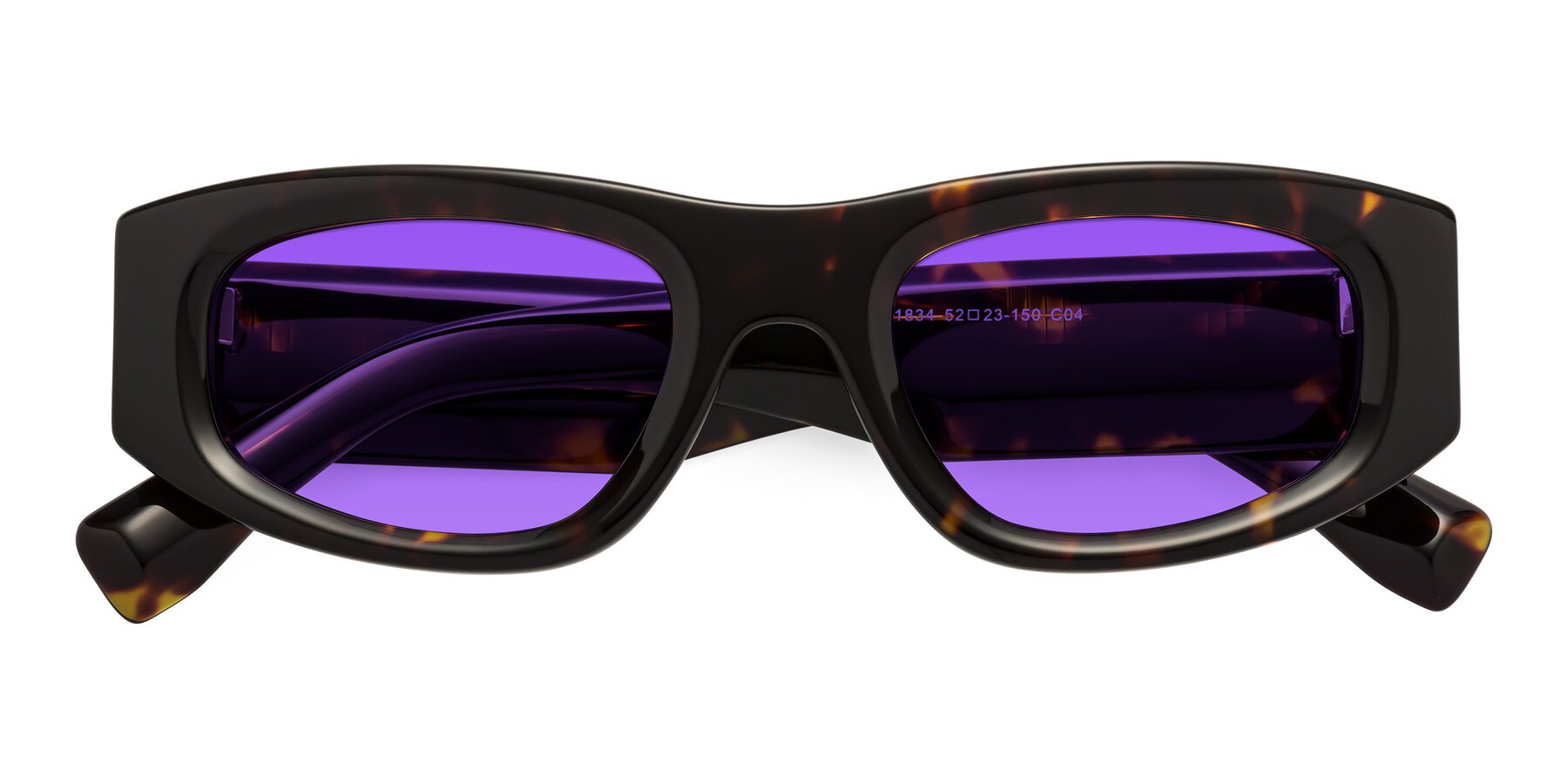 Folded Front of Elm in Tortoise with Purple Tinted Lenses