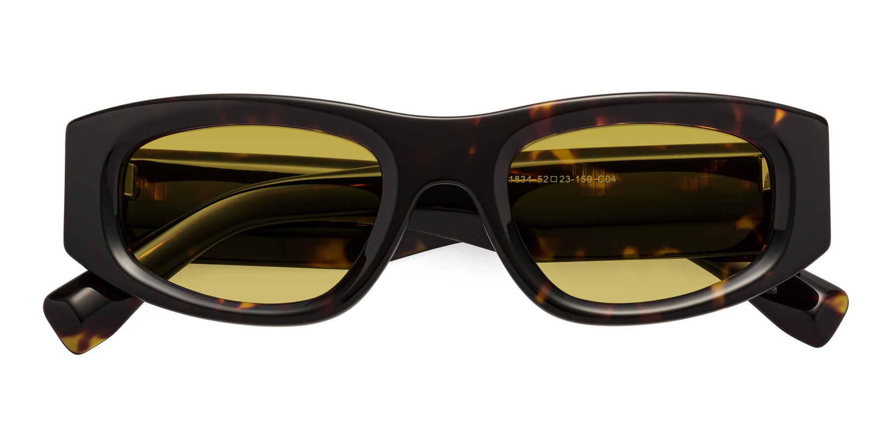 Folded Front of Elm in Tortoise with Champagne Tinted Lenses