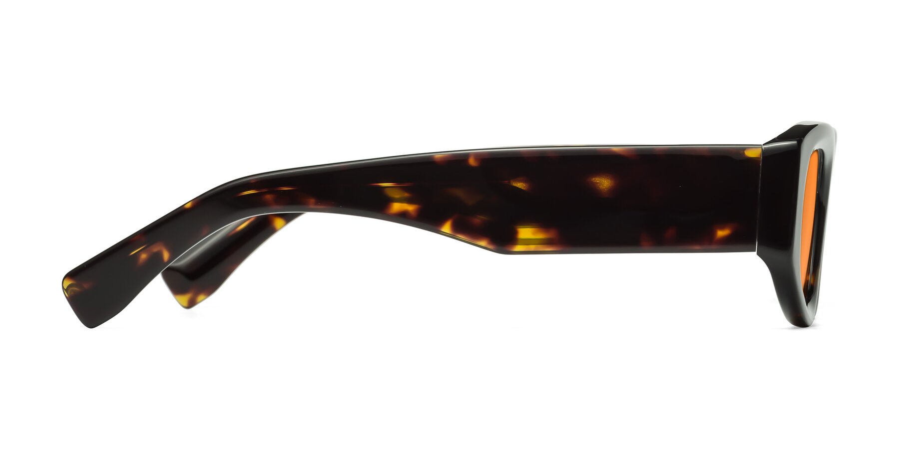 Side of Elm in Tortoise with Orange Tinted Lenses