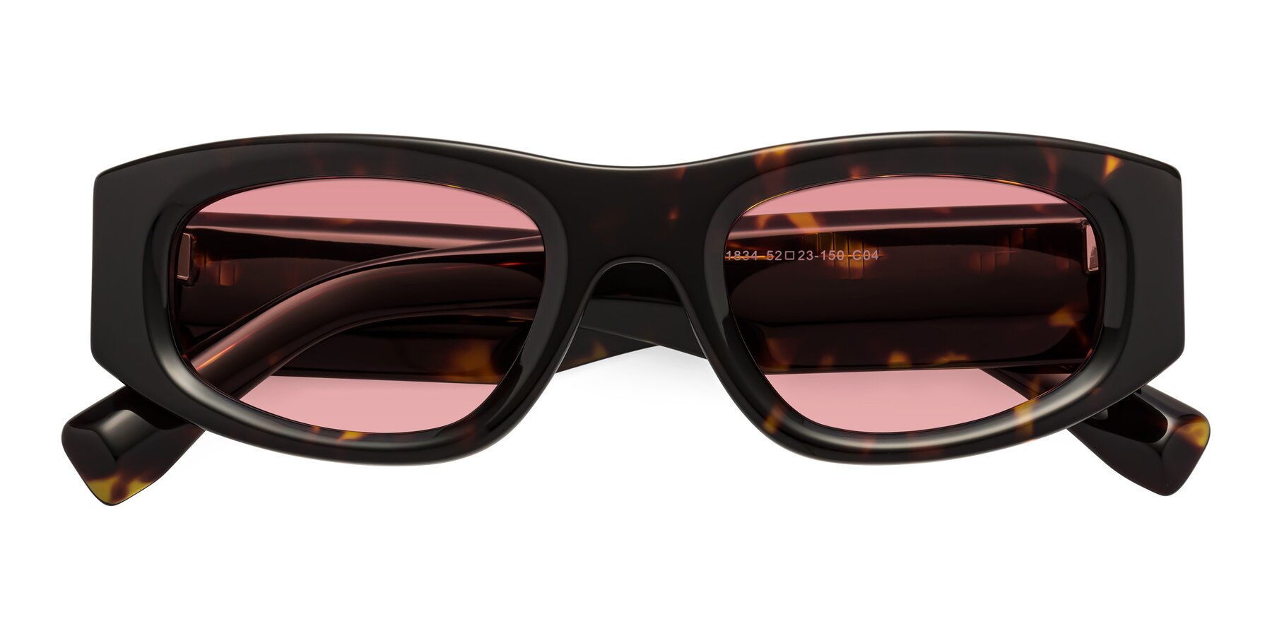 Folded Front of Elm in Tortoise with Medium Garnet Tinted Lenses