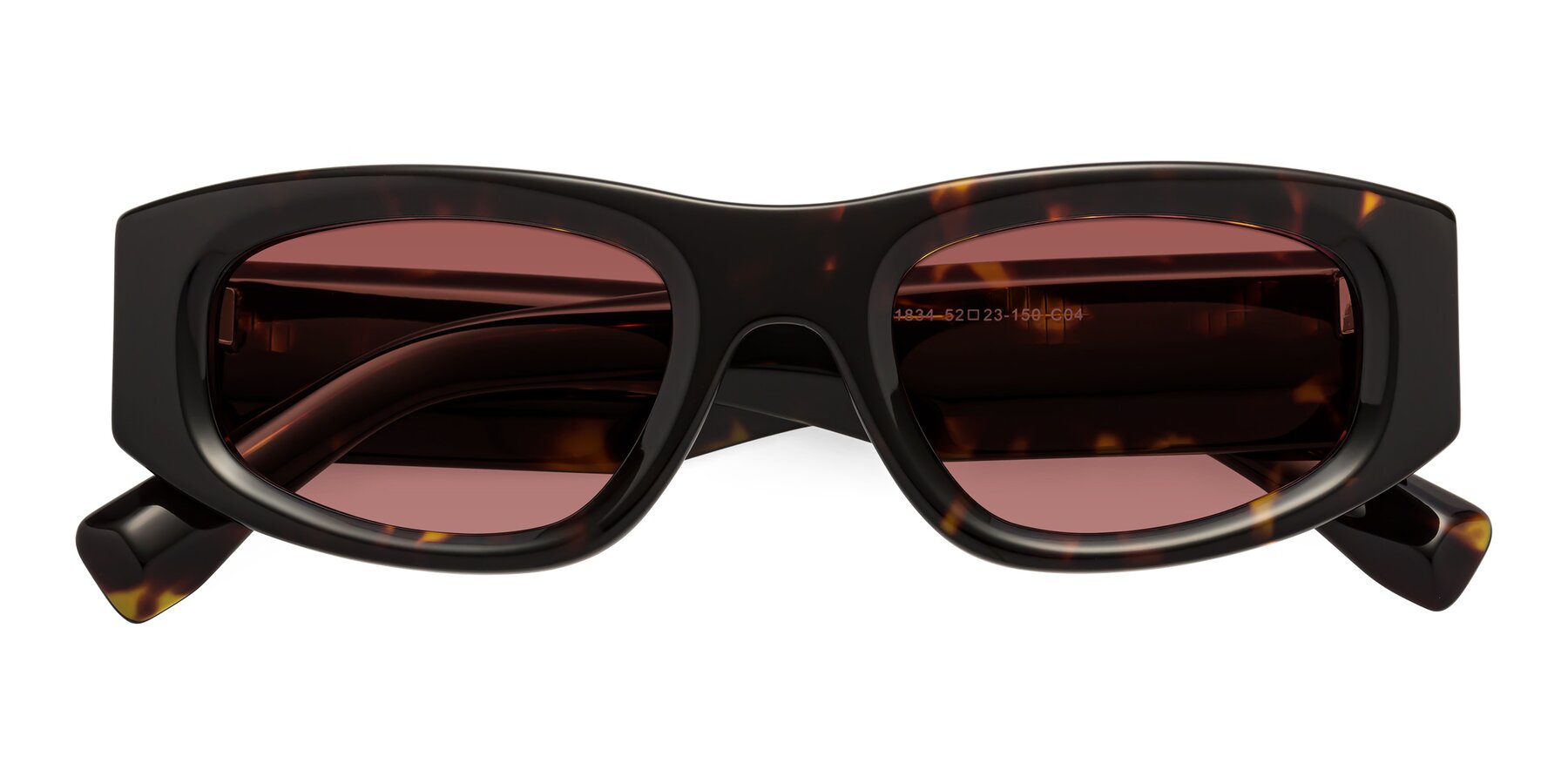 Folded Front of Elm in Tortoise with Garnet Tinted Lenses