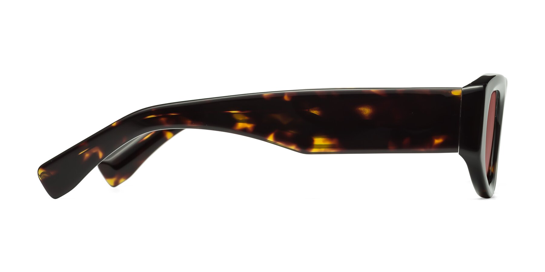 Side of Elm in Tortoise with Garnet Tinted Lenses