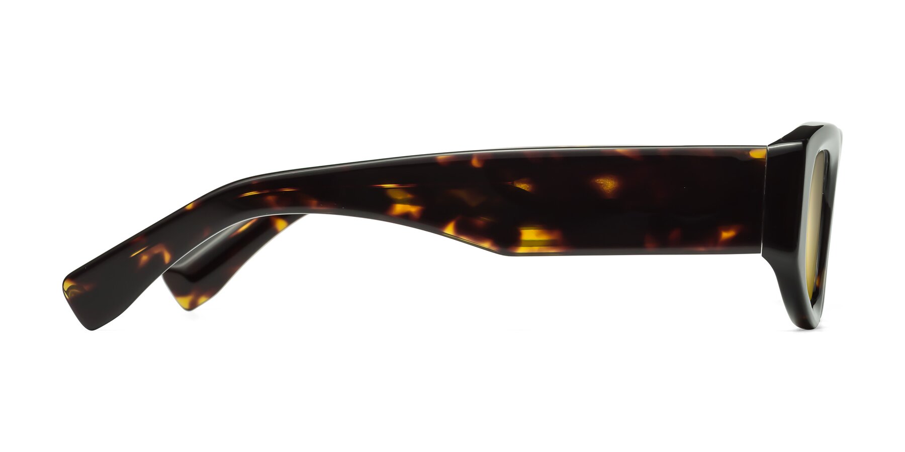Side of Elm in Tortoise with Gold Mirrored Lenses