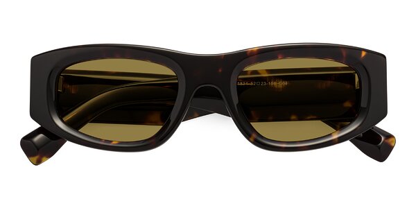 Front of Elm in Tortoise