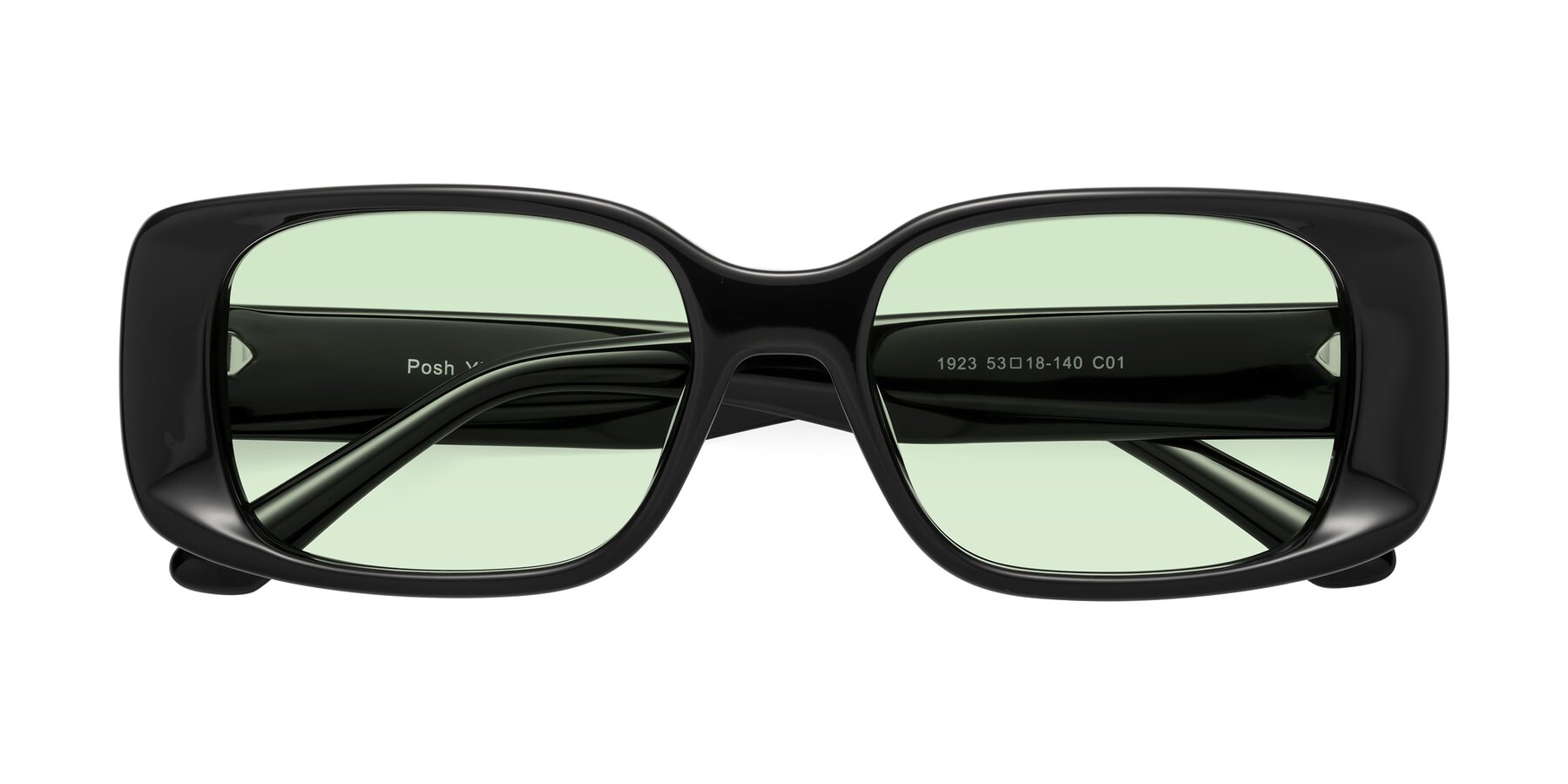 Folded Front of Posh in Black with Light Green Tinted Lenses