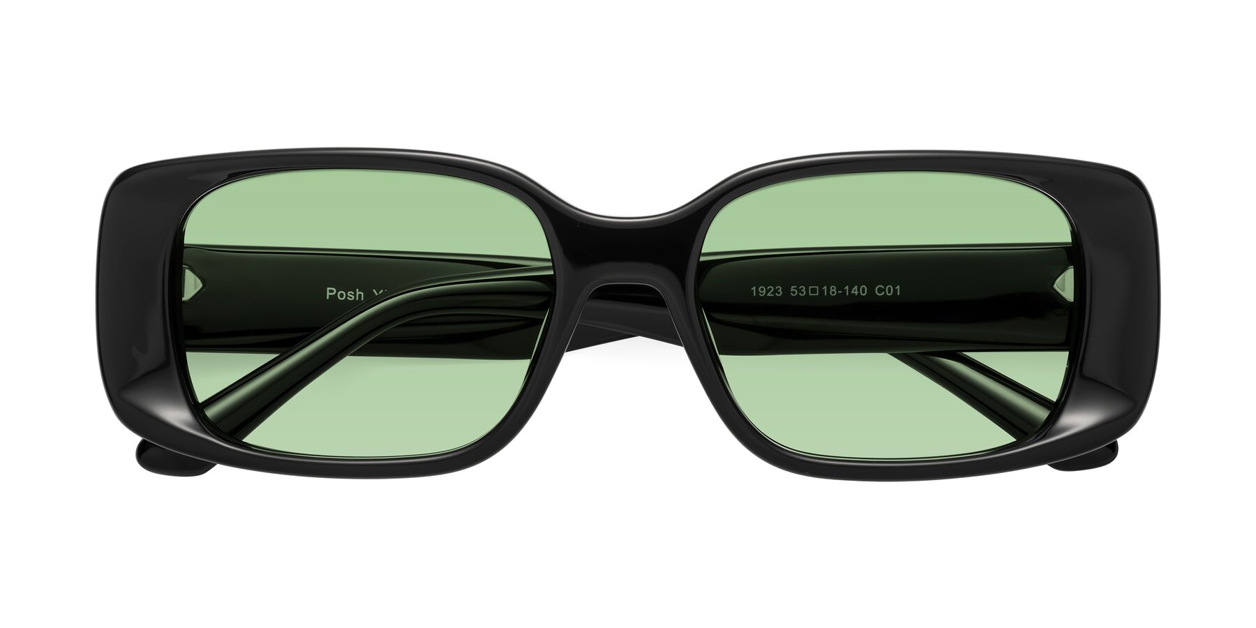 Folded Front of Posh in Black with Medium Green Tinted Lenses