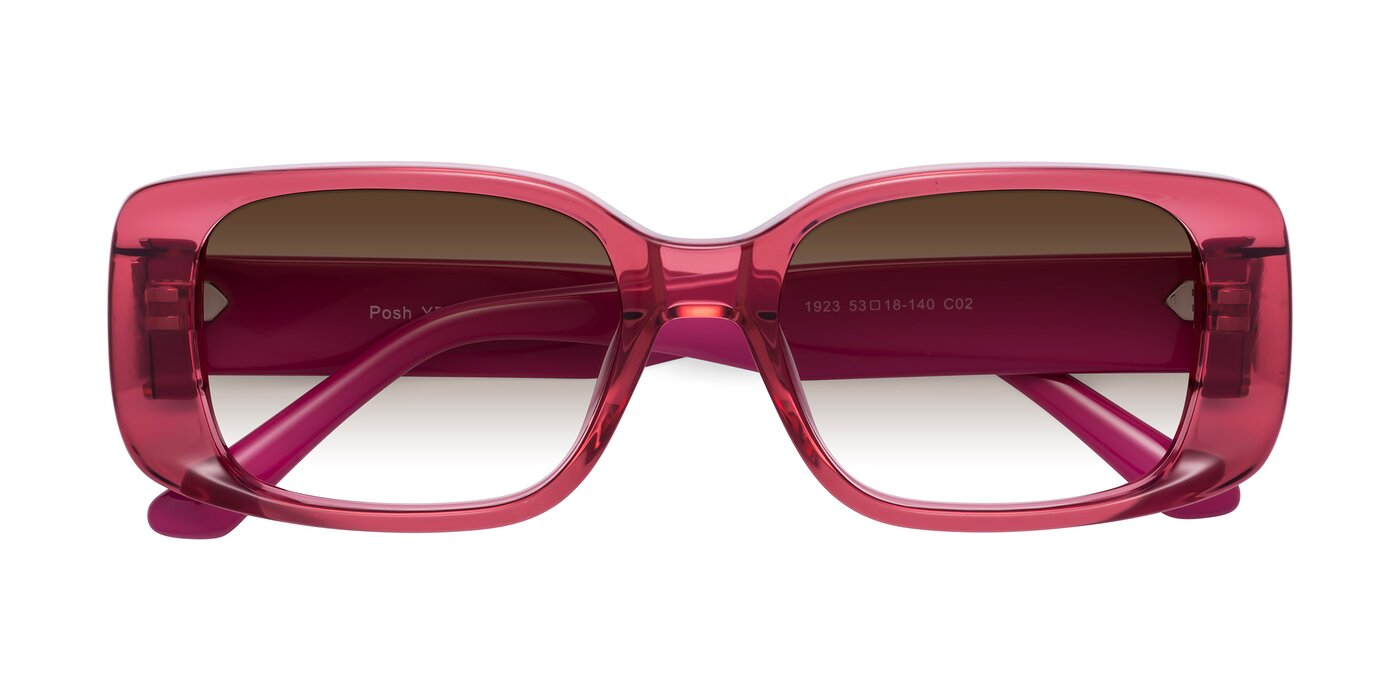 Posh - Transparent Pink Gradient Sunglasses