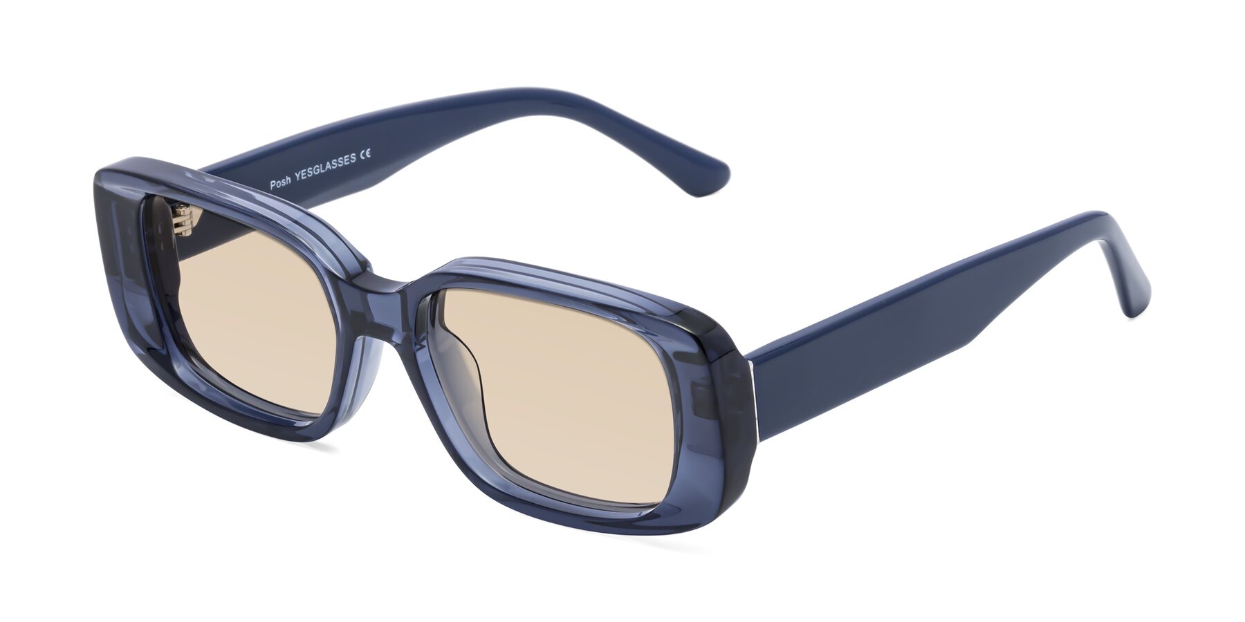 Angle of Posh in Translucent Blue with Light Brown Tinted Lenses