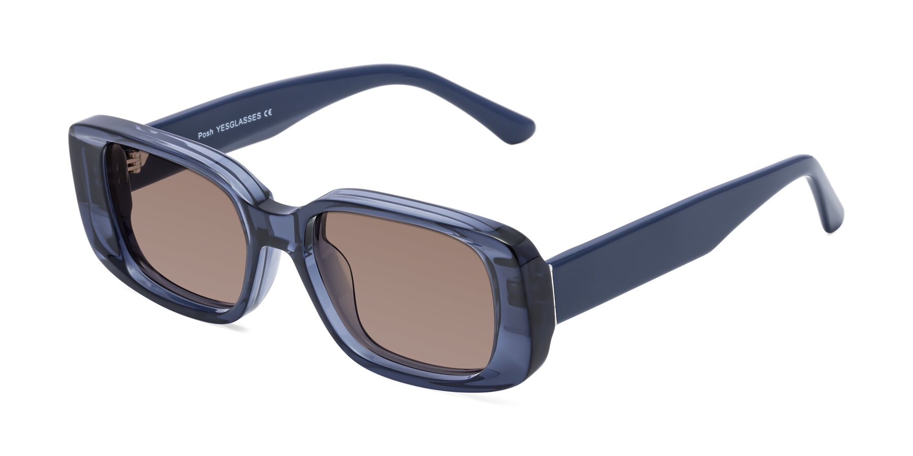 Angle of Posh in Translucent Blue with Medium Brown Tinted Lenses