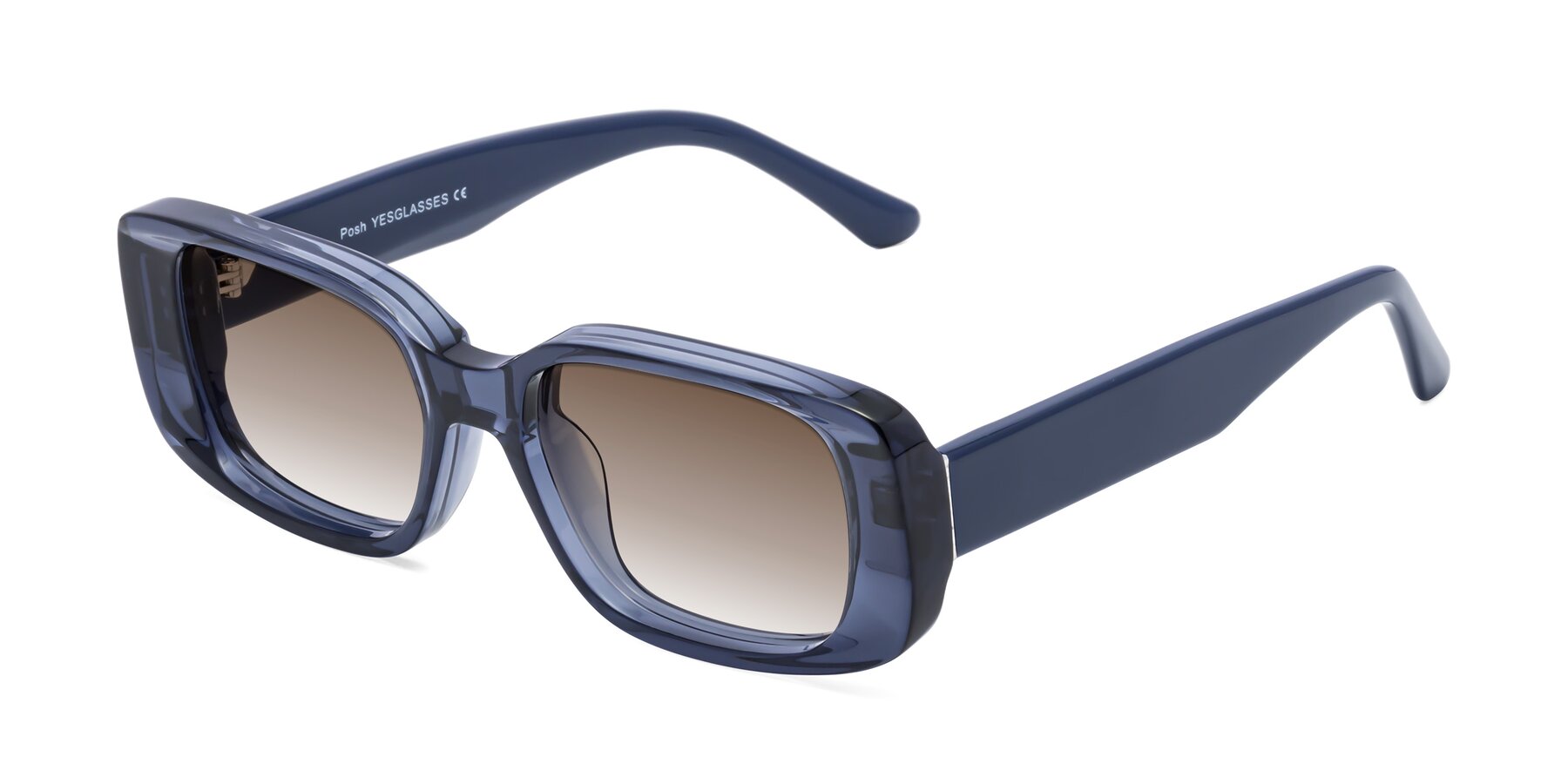 Angle of Posh in Translucent Blue with Brown Gradient Lenses