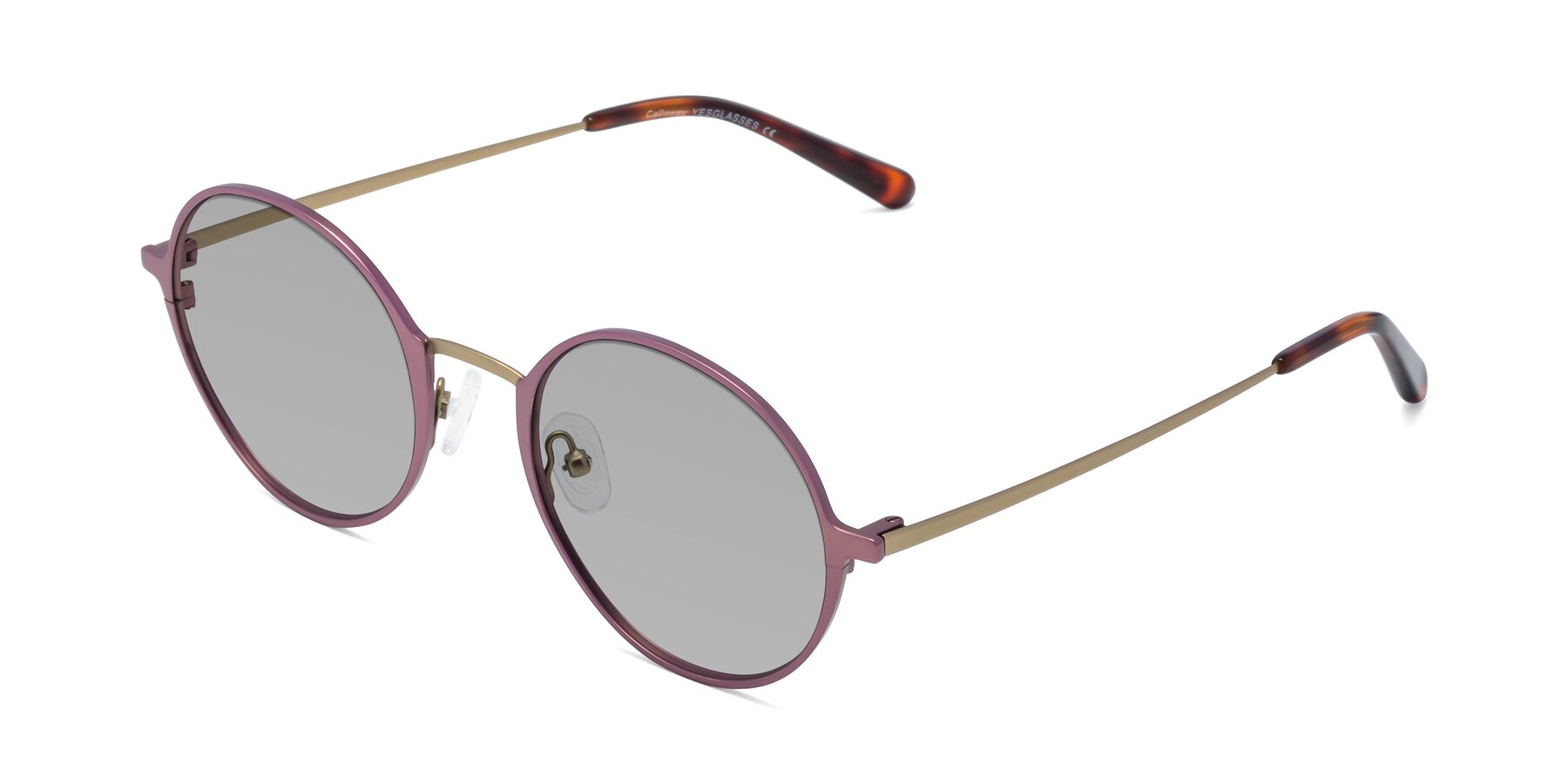 Angle of Calloway in Violet-Copper with Light Gray Tinted Lenses