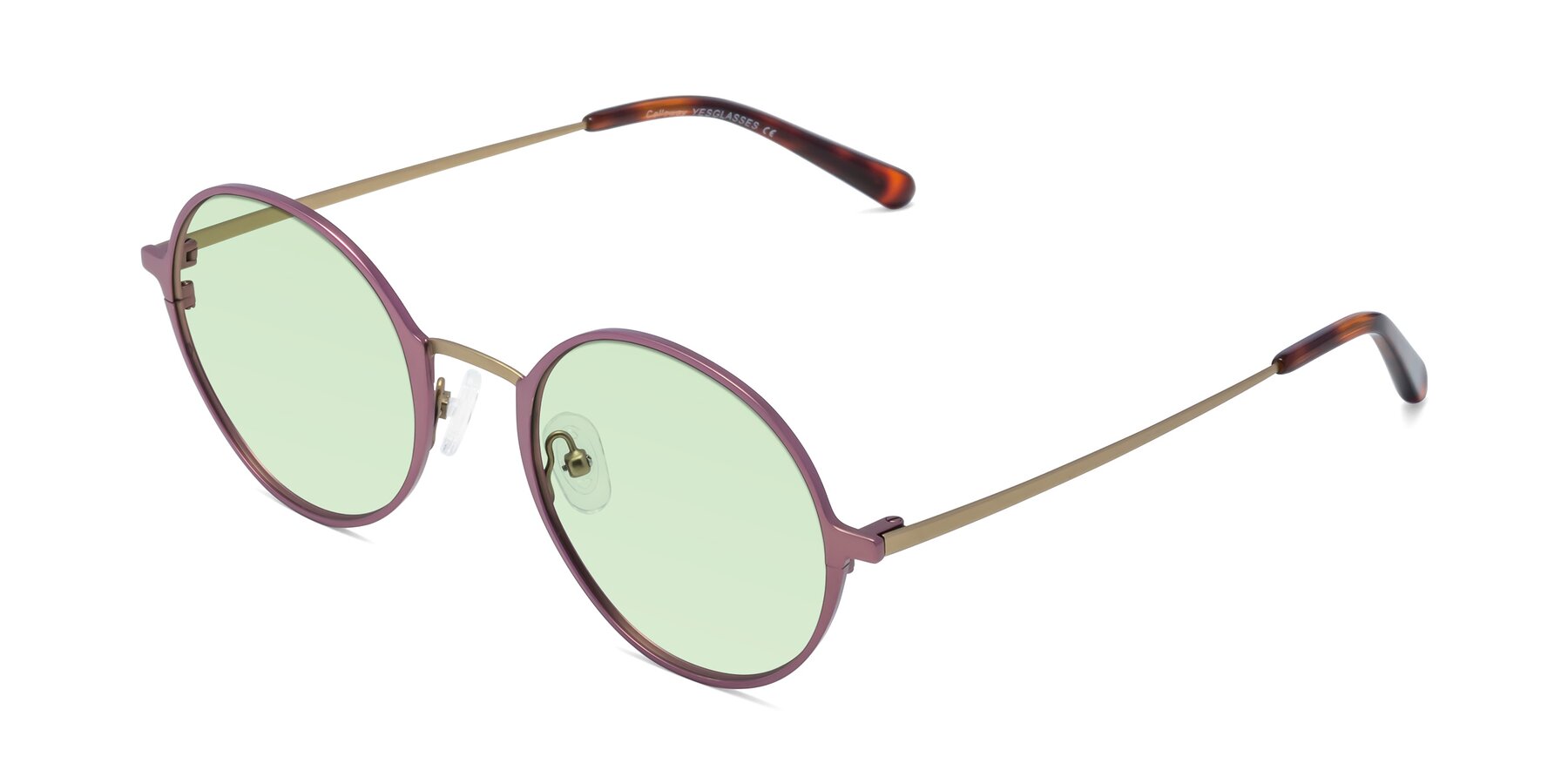 Angle of Calloway in Violet-Copper with Light Green Tinted Lenses