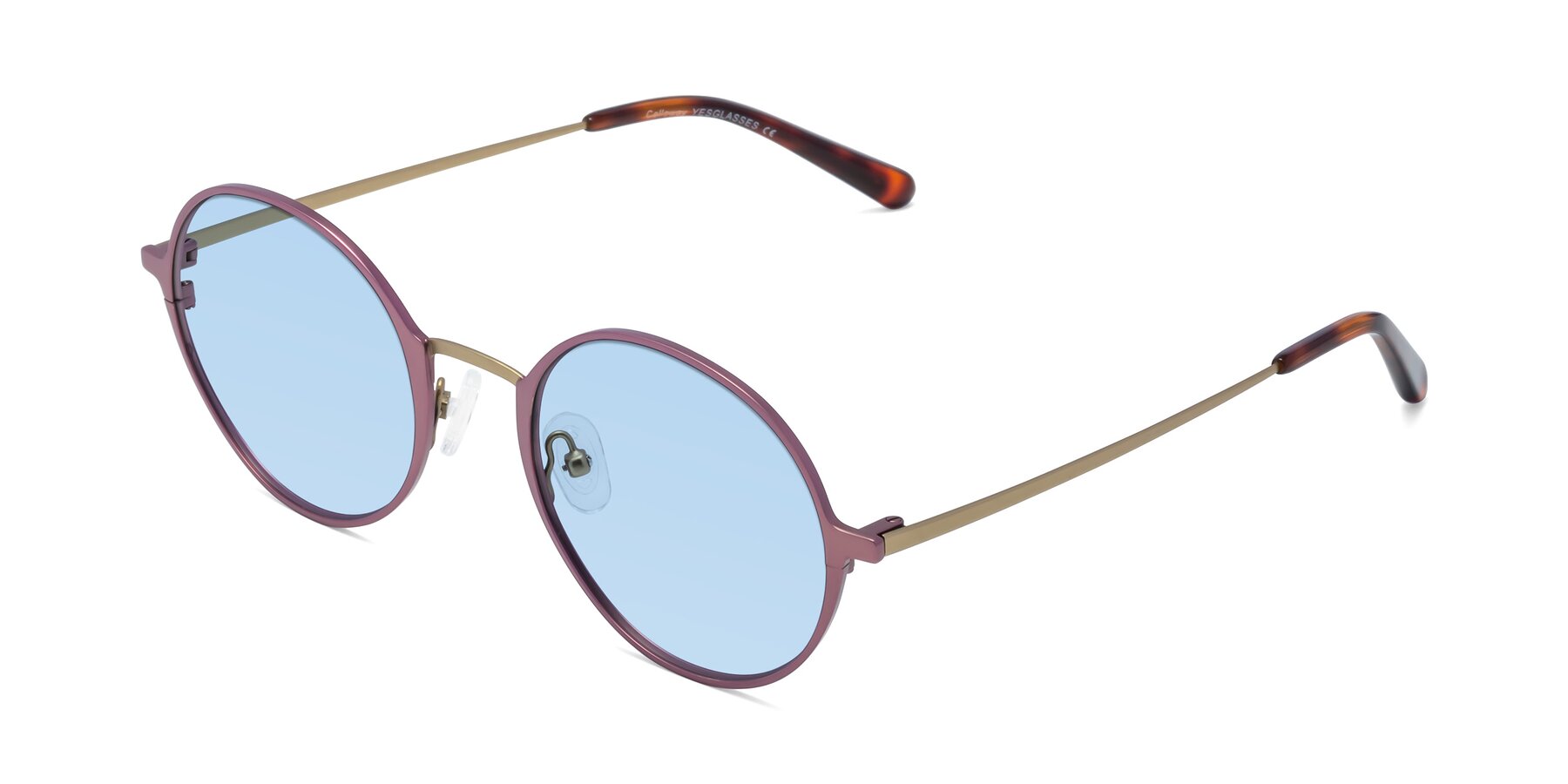 Angle of Calloway in Violet-Copper with Light Blue Tinted Lenses