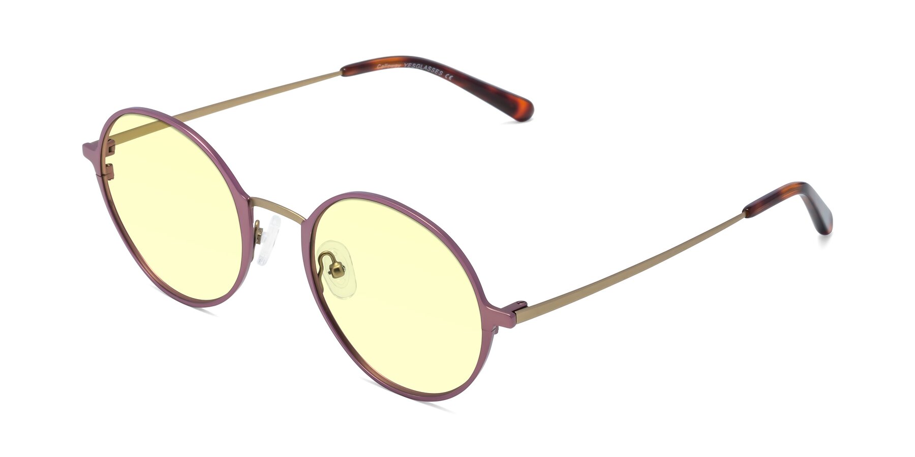 Angle of Calloway in Violet-Copper with Light Yellow Tinted Lenses