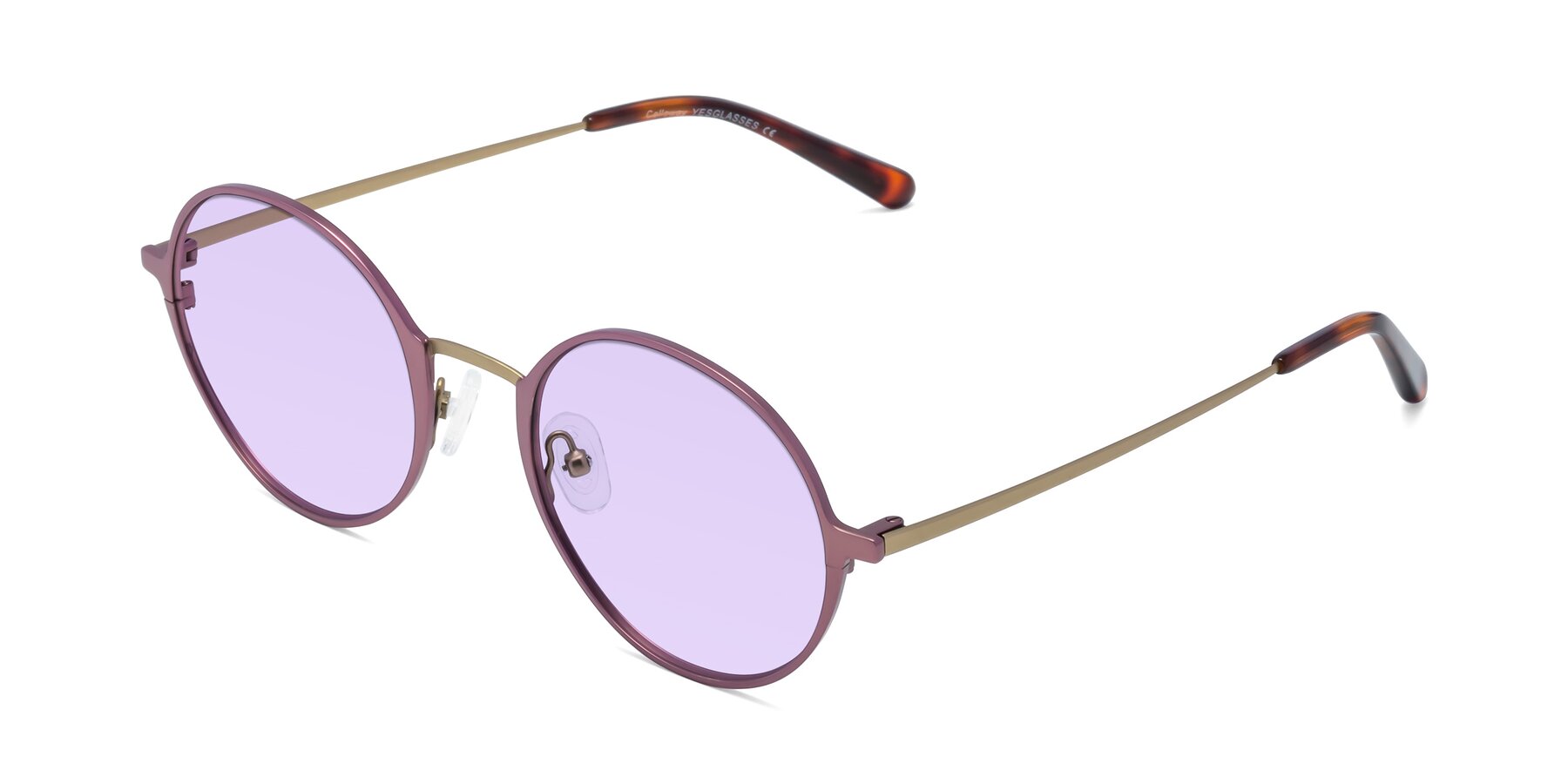 Angle of Calloway in Violet-Copper with Light Purple Tinted Lenses