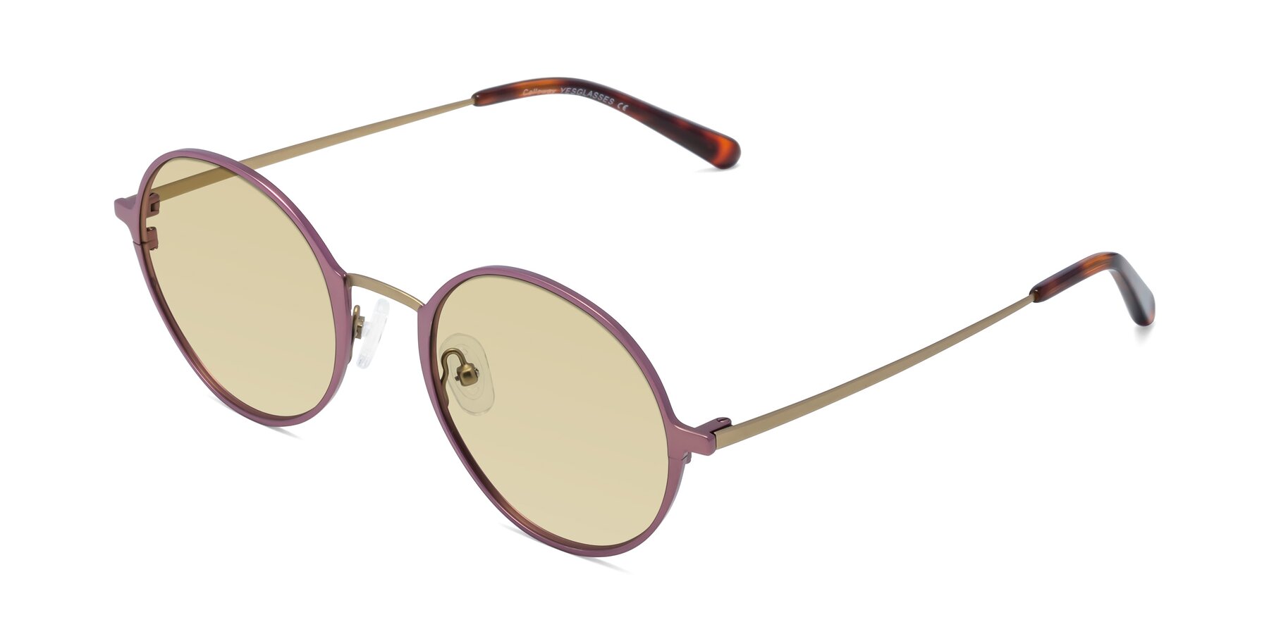 Angle of Calloway in Violet-Copper with Light Champagne Tinted Lenses