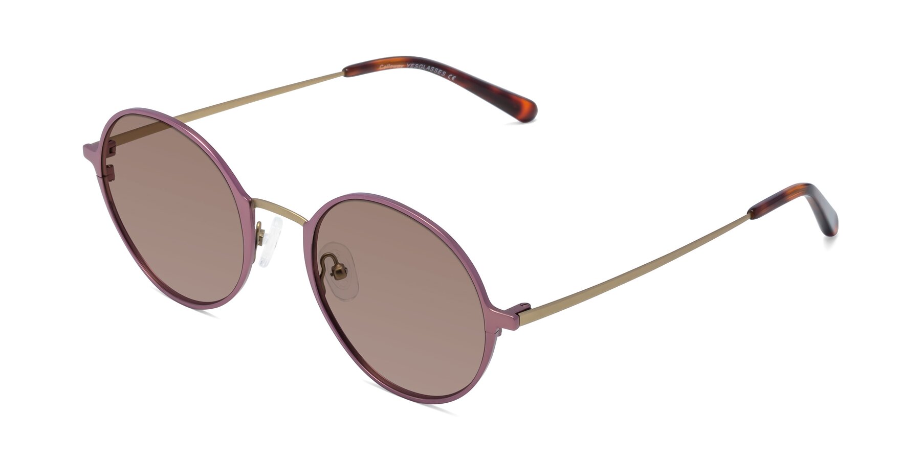 Angle of Calloway in Violet-Copper with Medium Brown Tinted Lenses