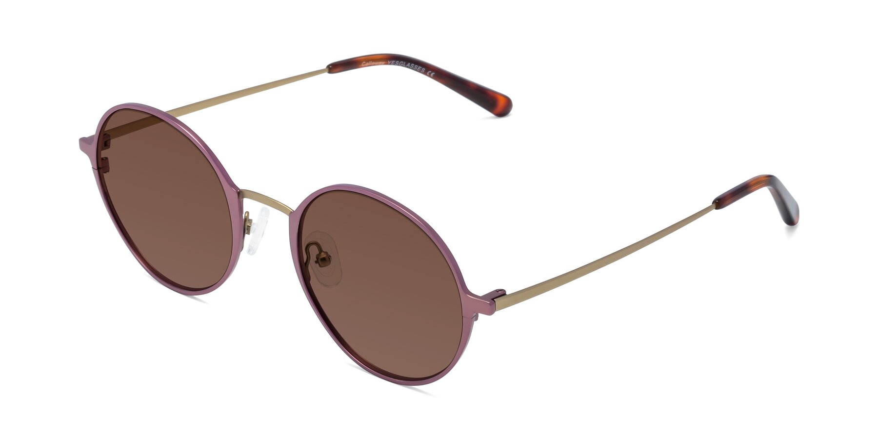 Angle of Calloway in Violet-Copper with Brown Tinted Lenses