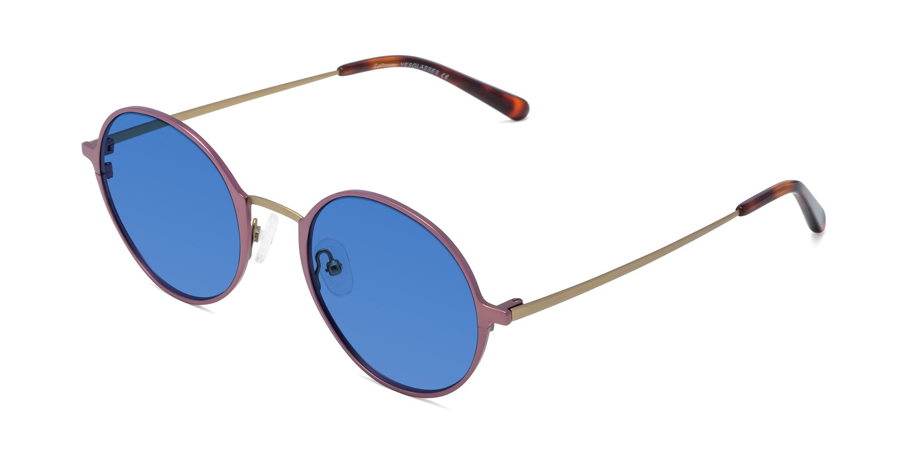 Angle of Calloway in Violet-Copper with Blue Tinted Lenses