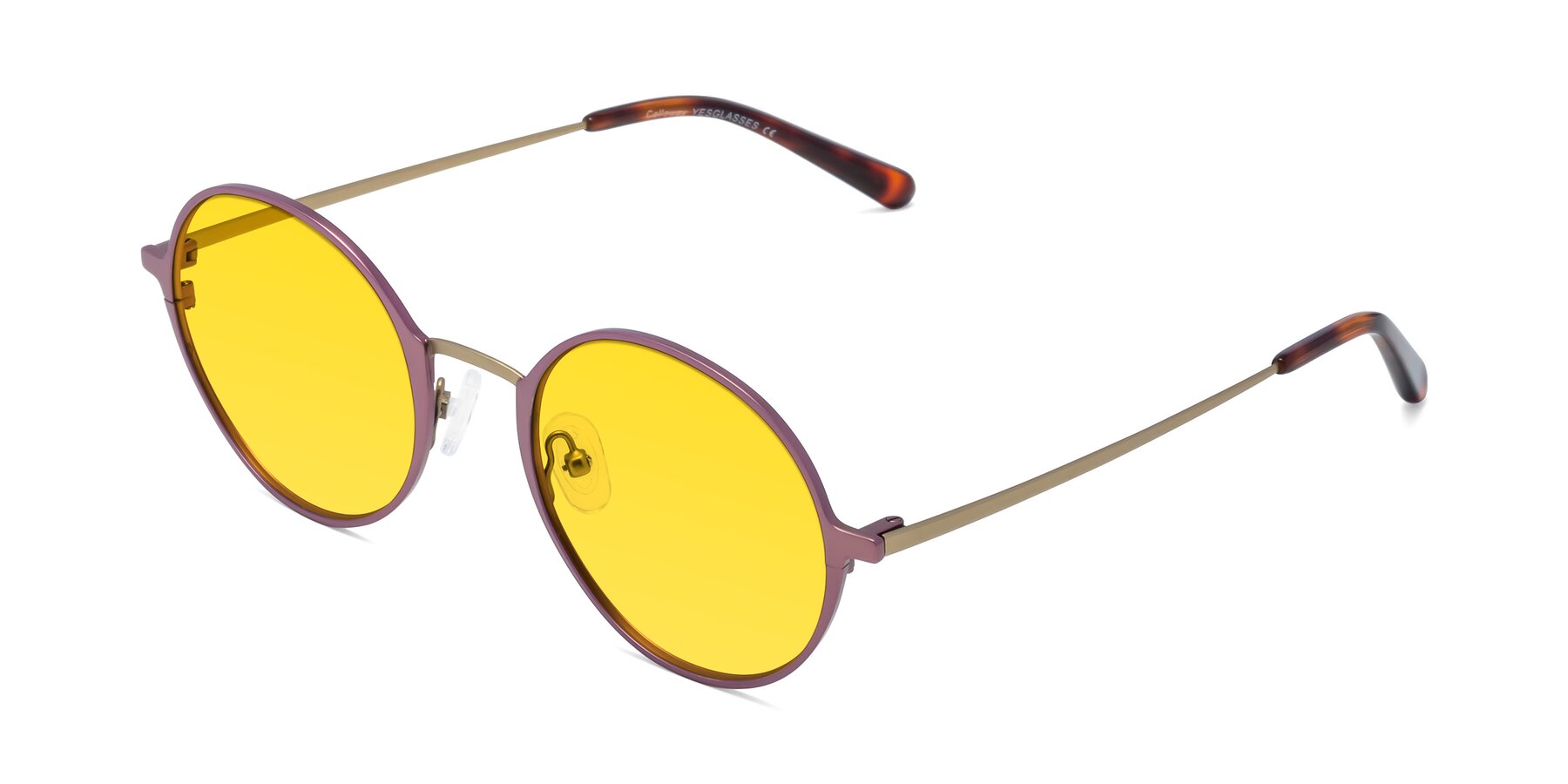 Angle of Calloway in Violet-Copper with Yellow Tinted Lenses