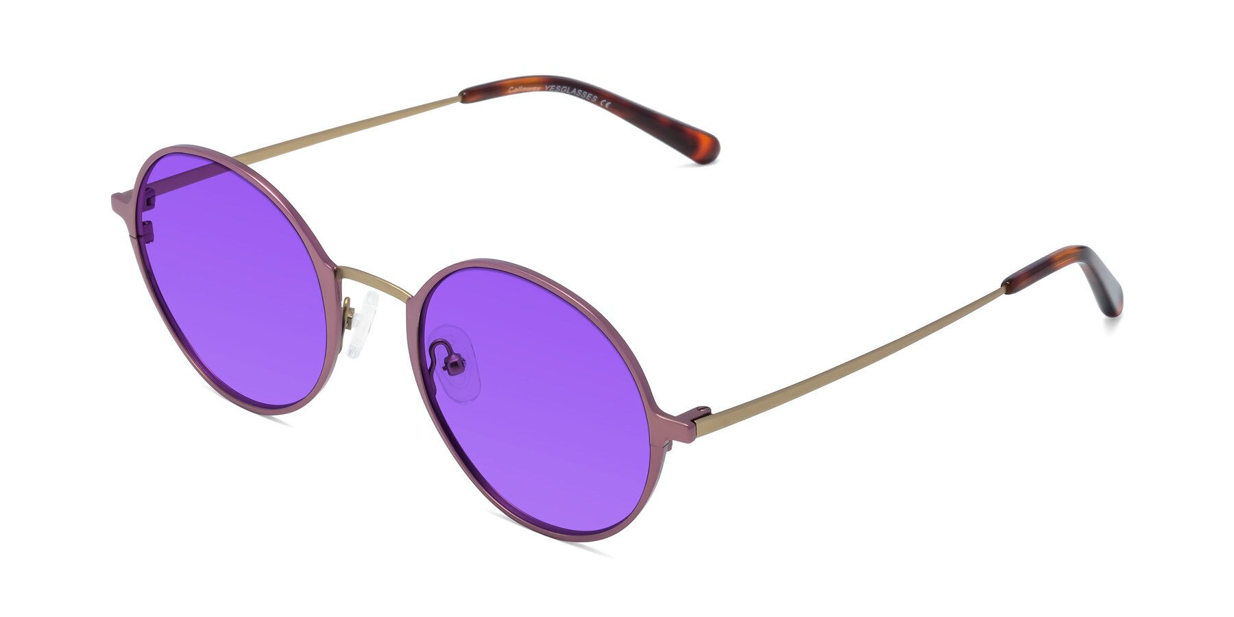 Angle of Calloway in Violet-Copper with Purple Tinted Lenses