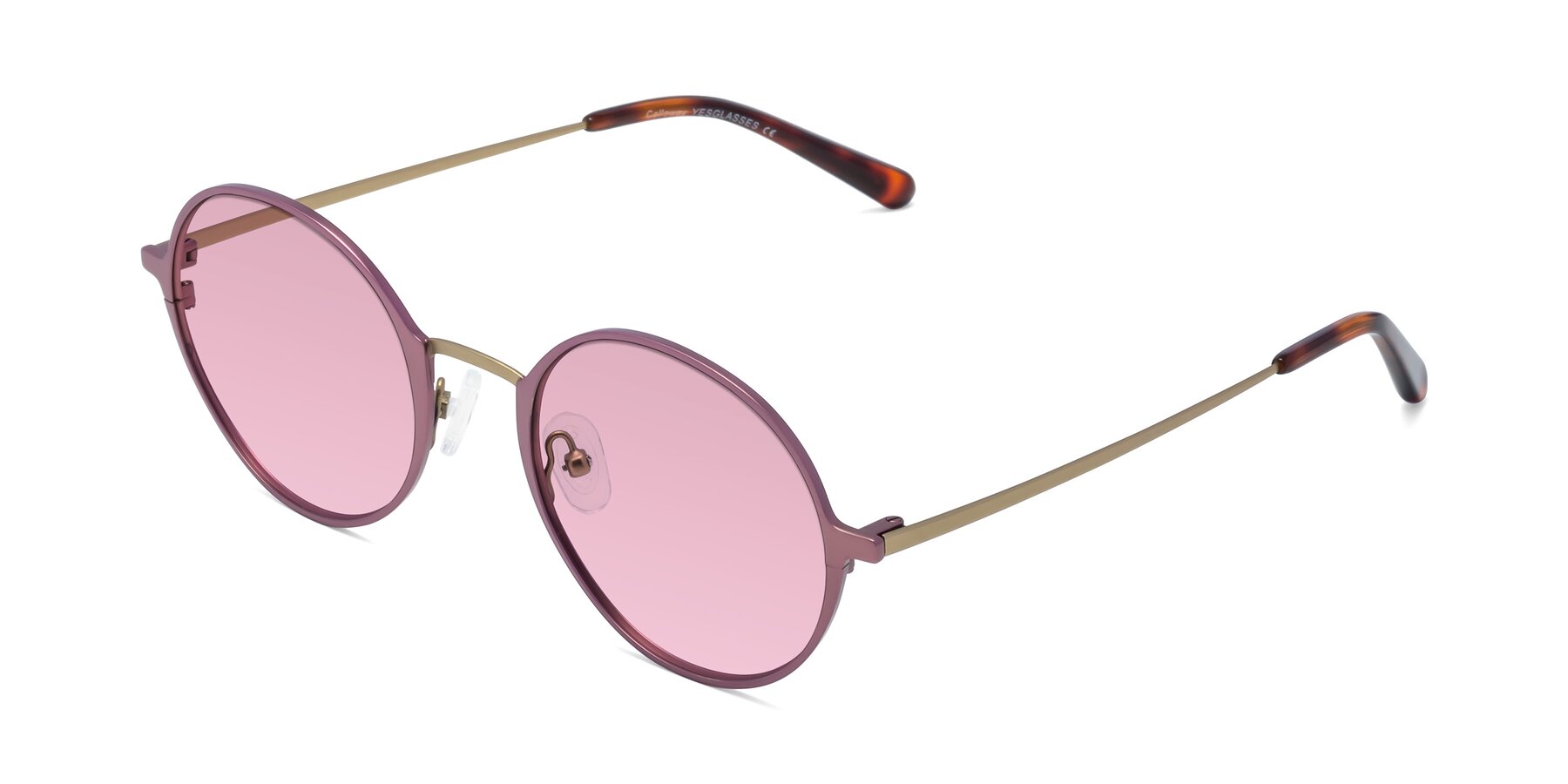 Angle of Calloway in Violet-Copper with Light Wine Tinted Lenses