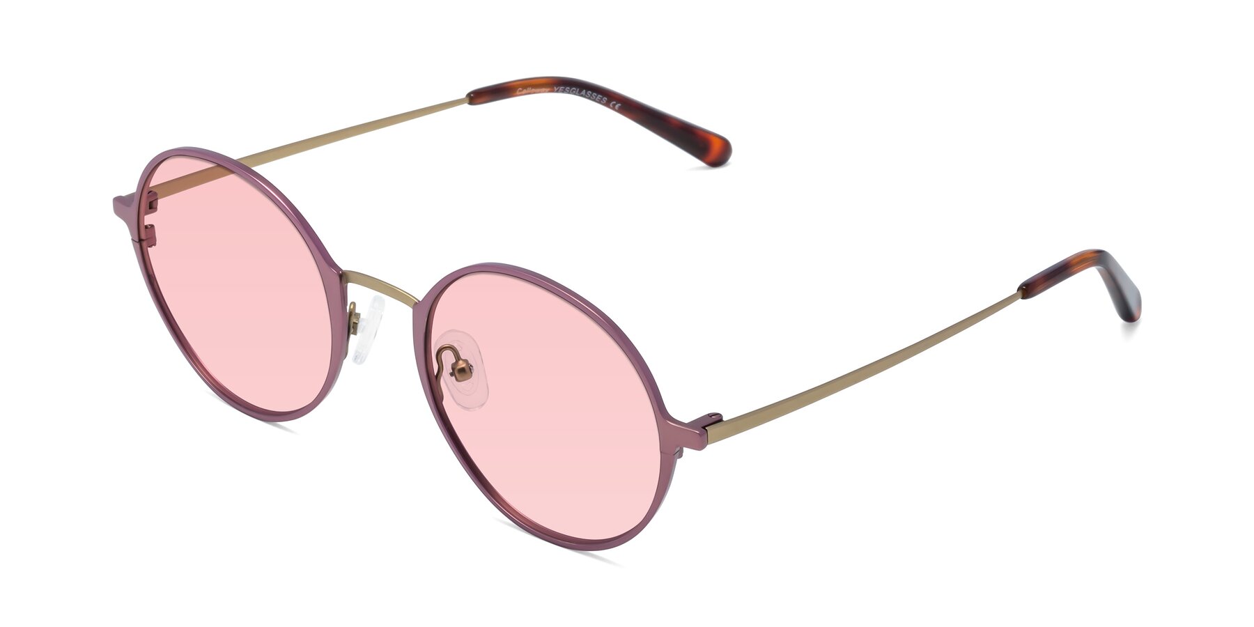 Angle of Calloway in Violet-Copper with Light Garnet Tinted Lenses