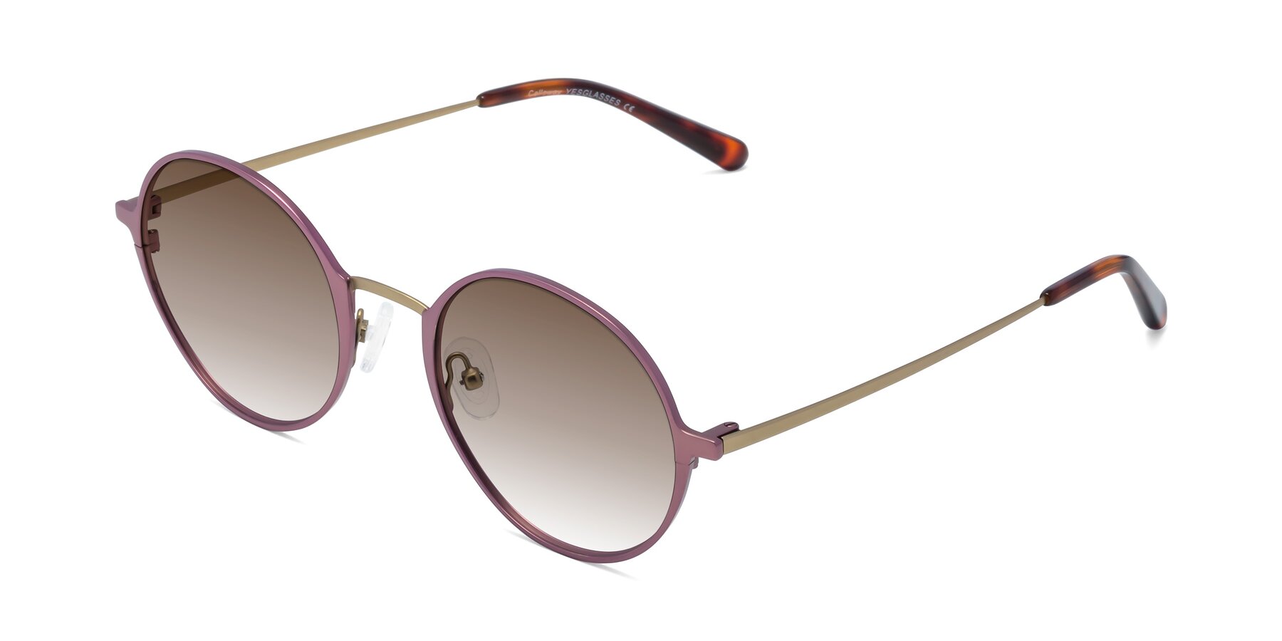 Angle of Calloway in Violet-Copper with Brown Gradient Lenses