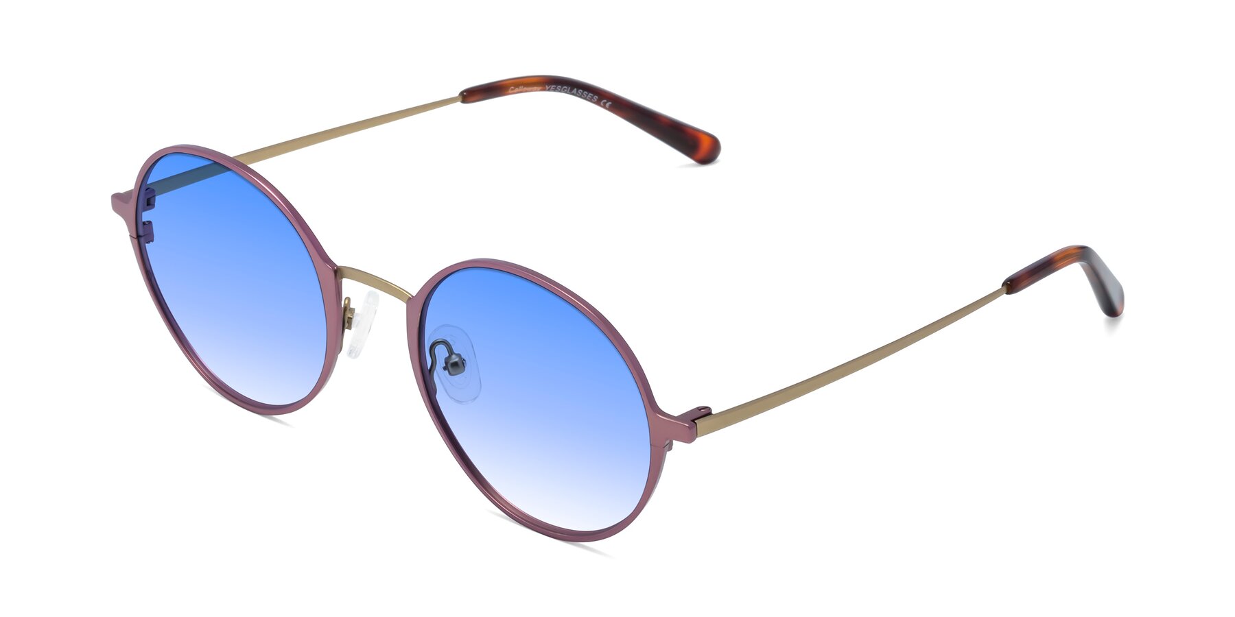 Angle of Calloway in Violet-Copper with Blue Gradient Lenses