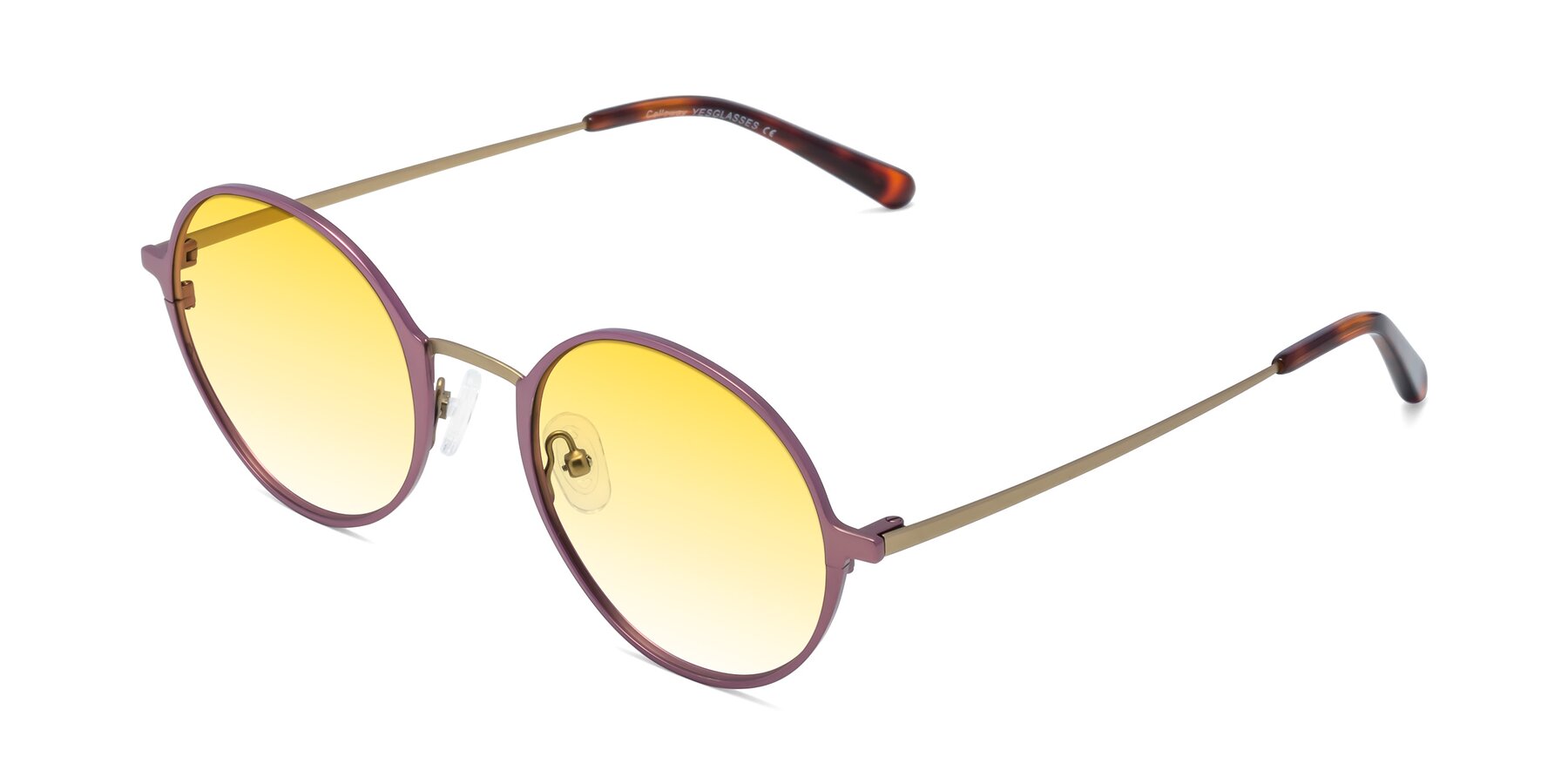 Angle of Calloway in Violet-Copper with Yellow Gradient Lenses