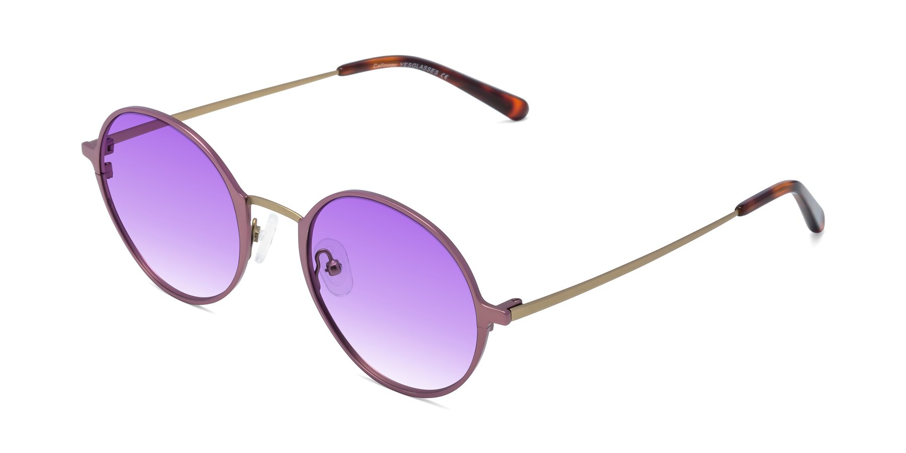 Angle of Calloway in Violet-Copper with Purple Gradient Lenses