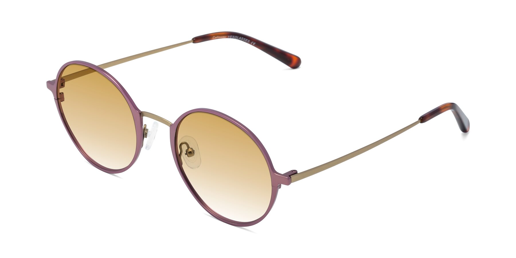 Angle of Calloway in Violet-Copper with Champagne Gradient Lenses