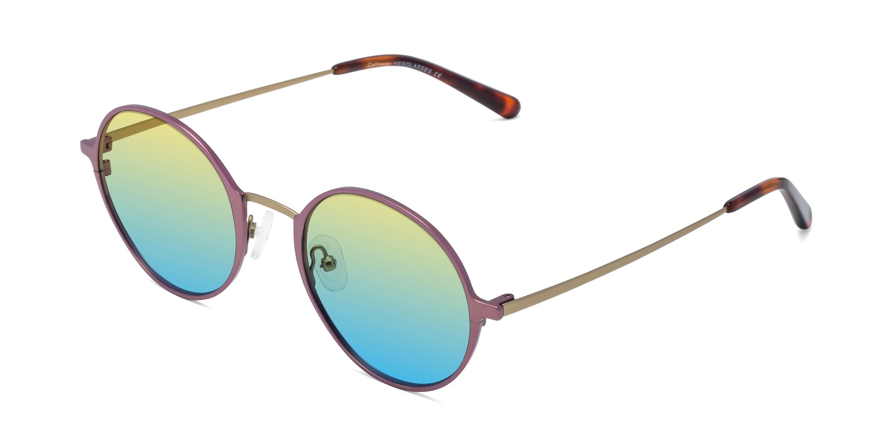Angle of Calloway in Violet-Copper with Yellow / Blue Gradient Lenses