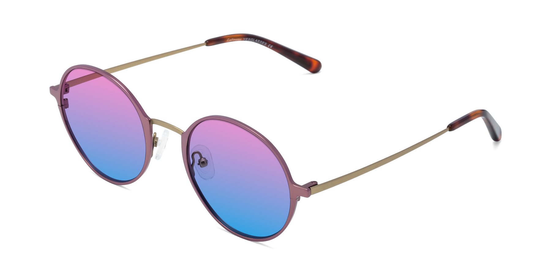 Angle of Calloway in Violet-Copper with Pink / Blue Gradient Lenses