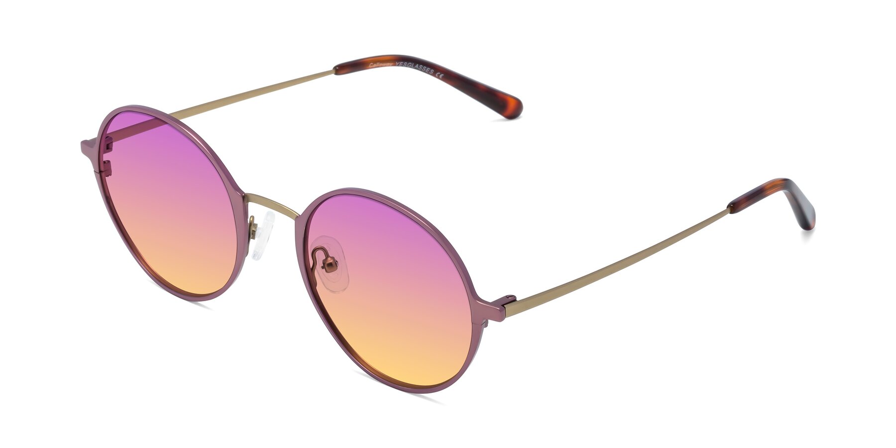 Angle of Calloway in Violet-Copper with Purple / Yellow Gradient Lenses