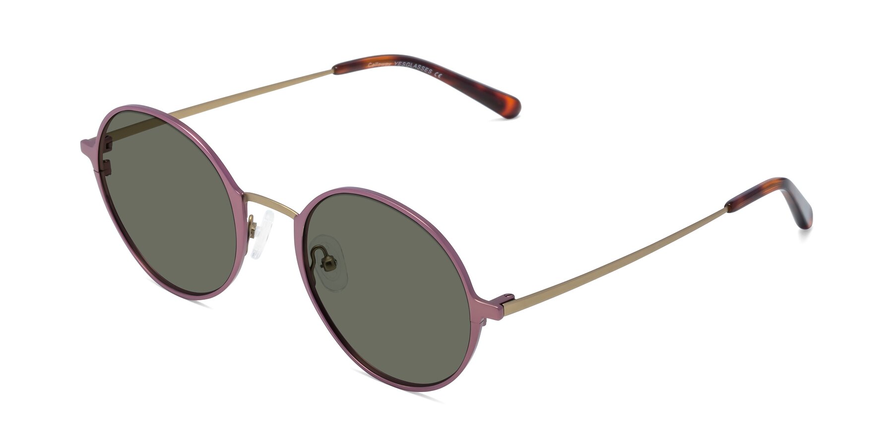 Angle of Calloway in Violet-Copper with Gray Polarized Lenses