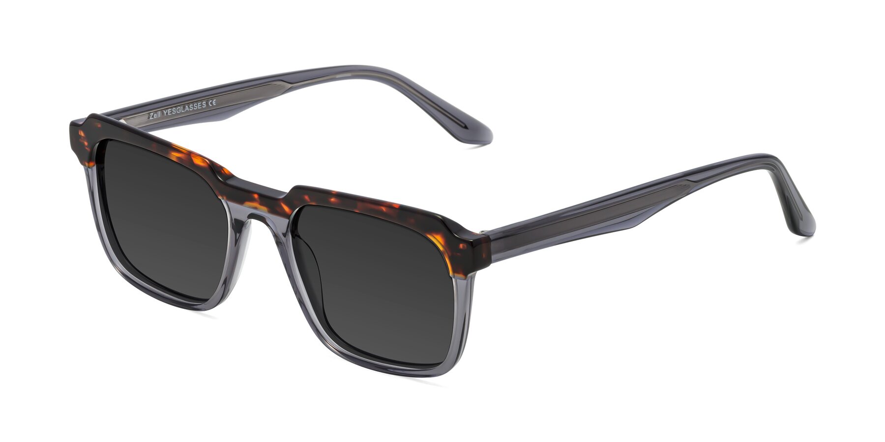 Angle of Zell in Tortoise/Gray with Gray Tinted Lenses