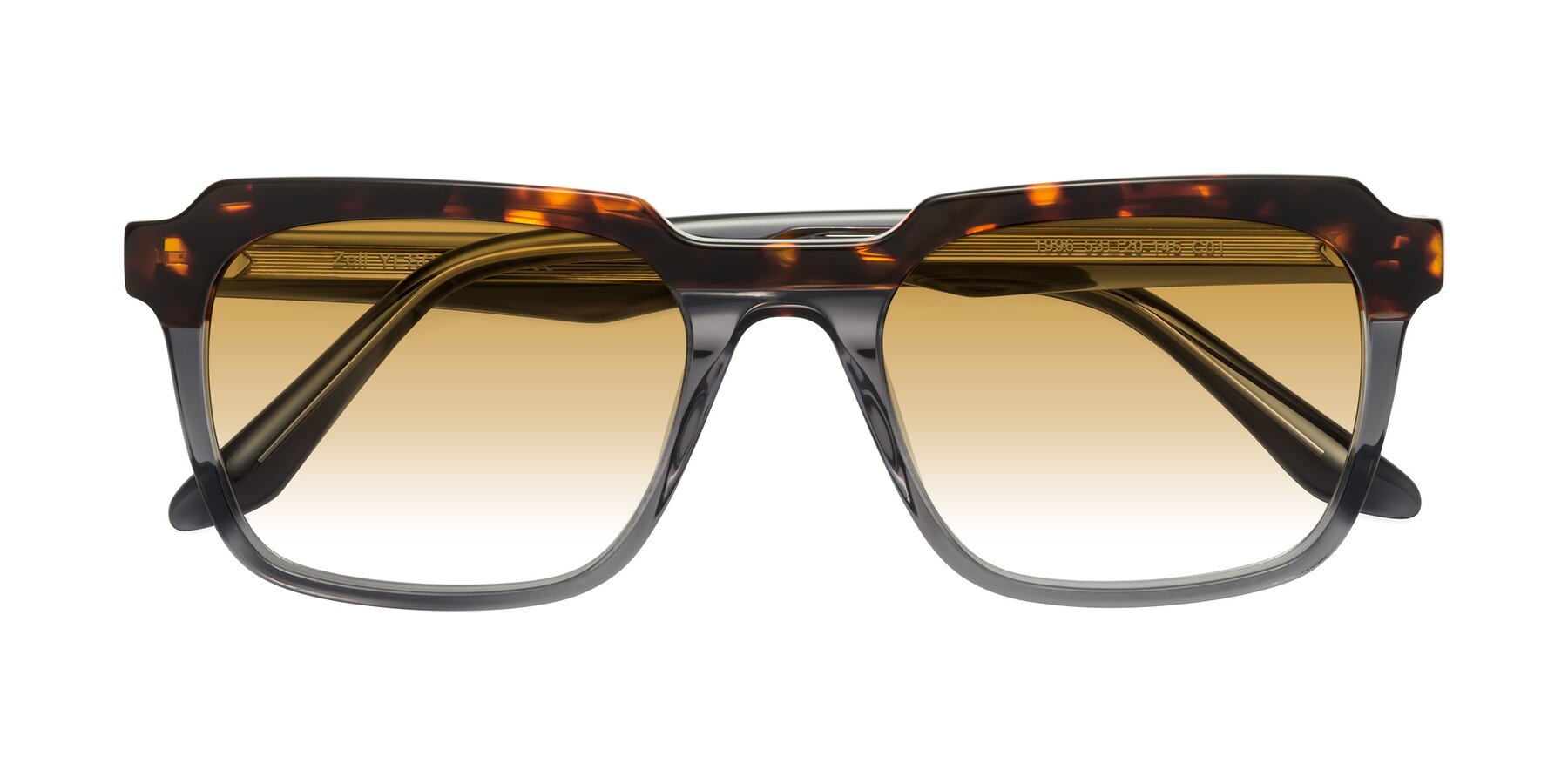 Folded Front of Zell in Tortoise/Gray with Champagne Gradient Lenses