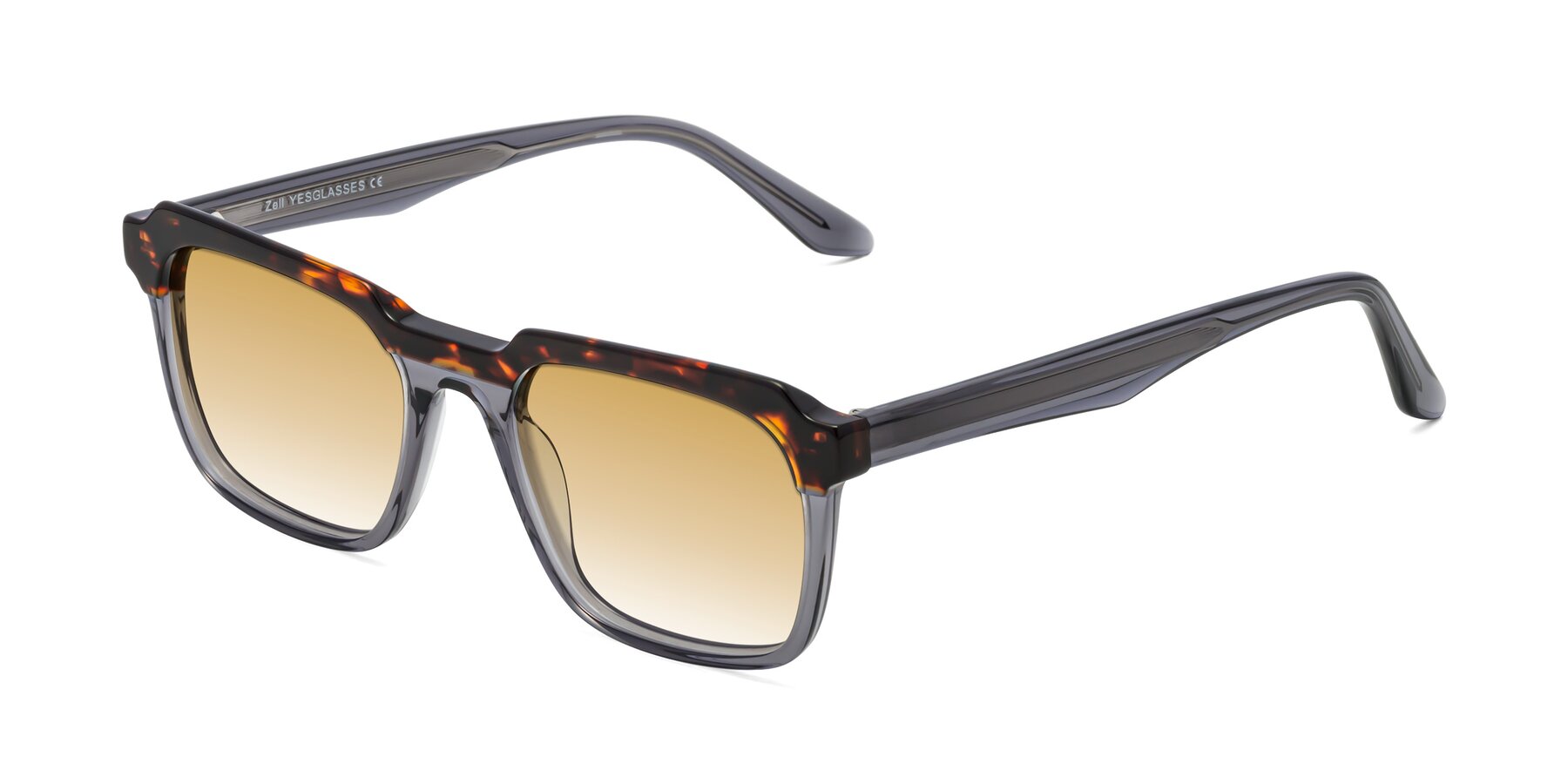 Angle of Zell in Tortoise/Gray with Champagne Gradient Lenses