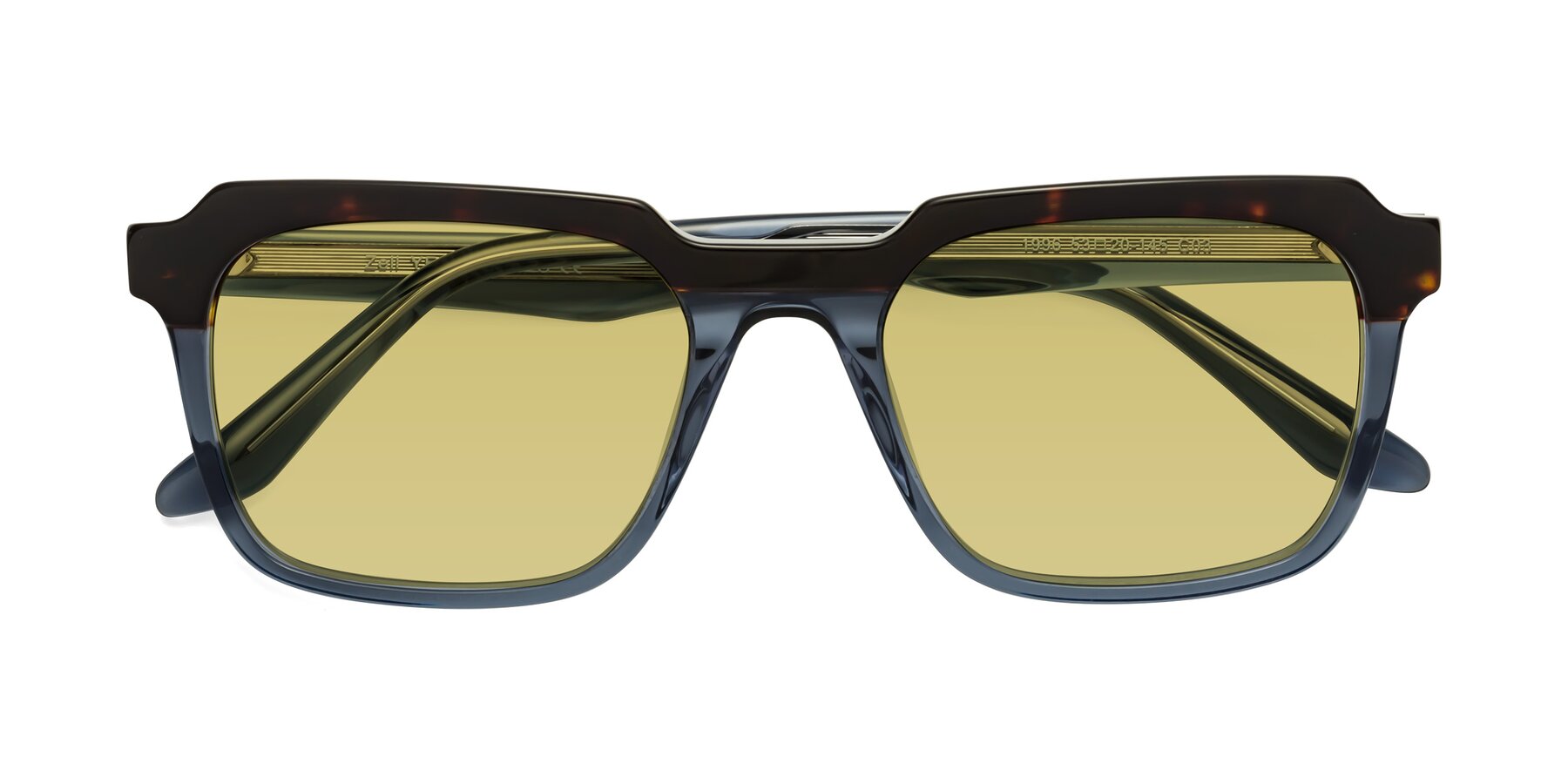 Folded Front of Zell in Tortoise-Blue with Medium Champagne Tinted Lenses