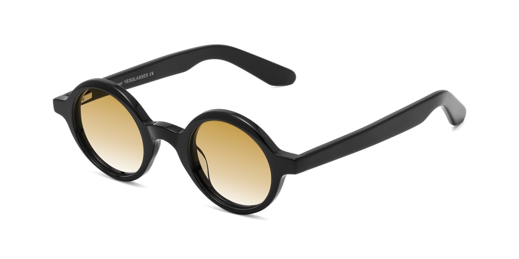 Angle of School in Black with Champagne Gradient Lenses