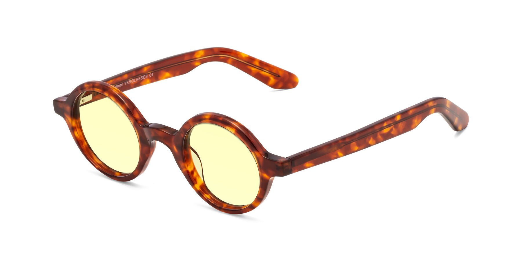Angle of School in Tortoise with Light Yellow Tinted Lenses