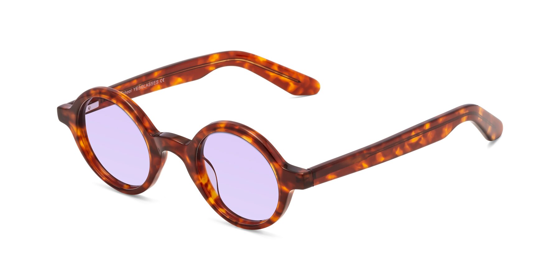 Angle of School in Tortoise with Light Purple Tinted Lenses