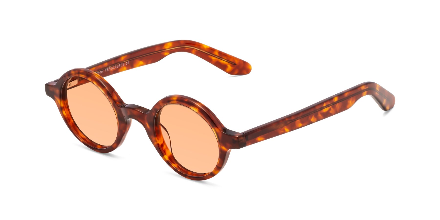 Angle of School in Tortoise with Light Orange Tinted Lenses
