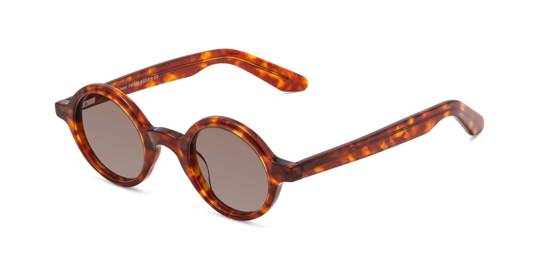 Angle of School in Tortoise with Medium Brown Tinted Lenses