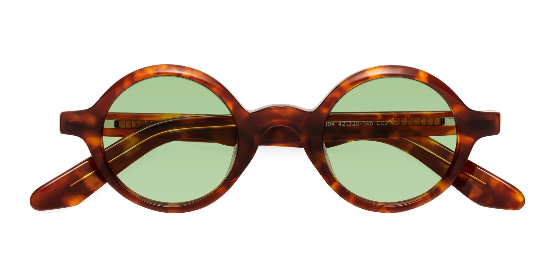 Folded Front of School in Tortoise with Medium Green Tinted Lenses