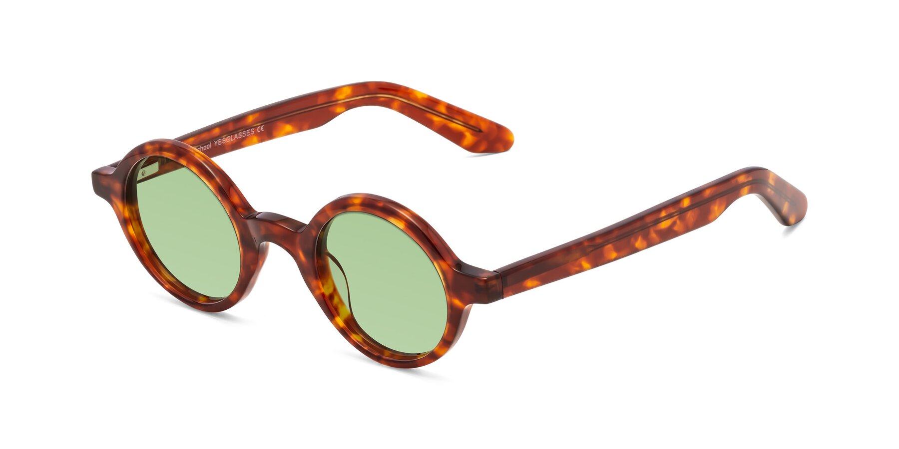 Angle of School in Tortoise with Medium Green Tinted Lenses