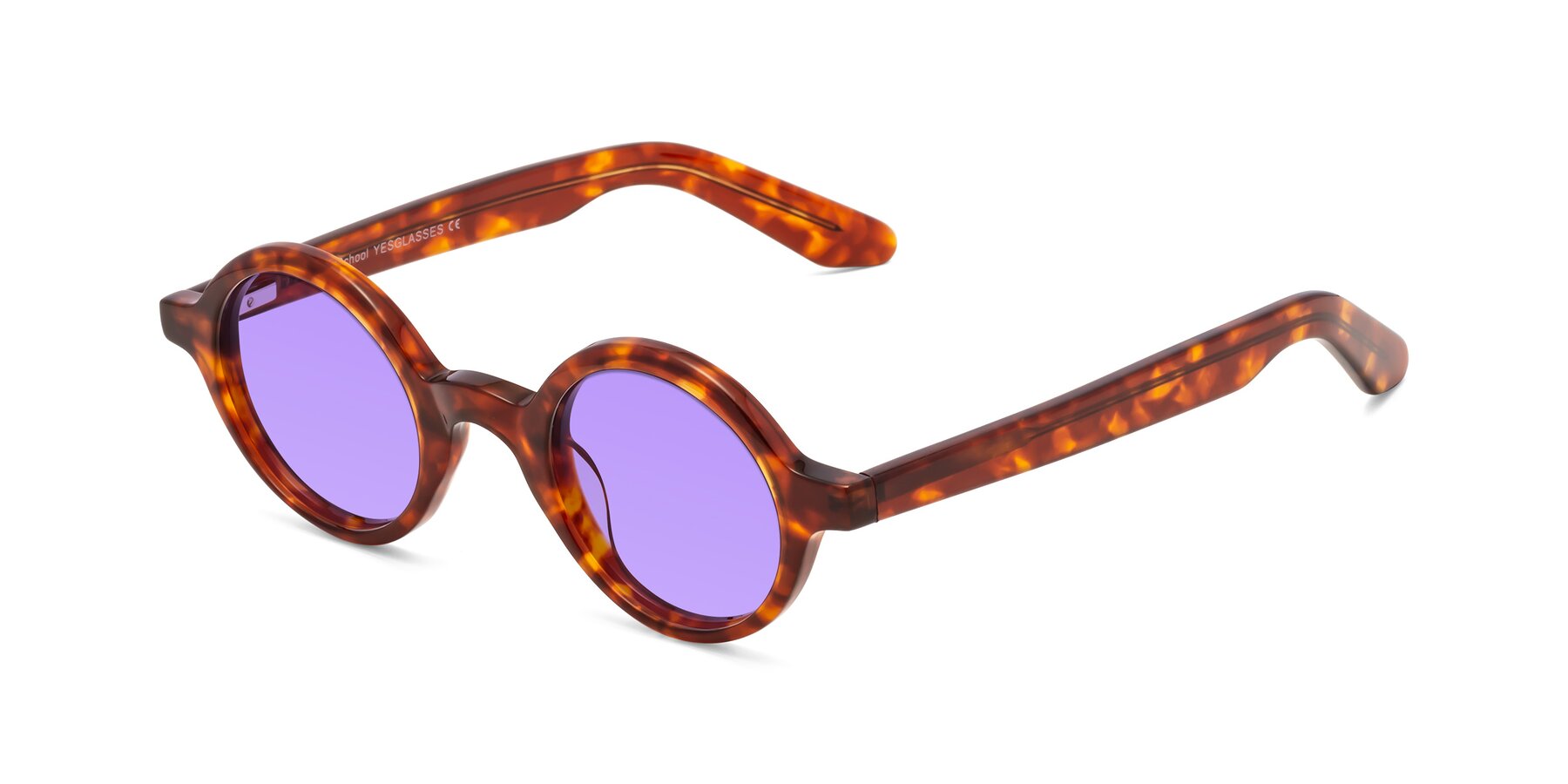 Angle of School in Tortoise with Medium Purple Tinted Lenses