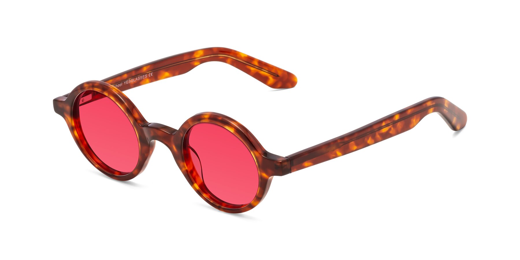 Angle of School in Tortoise with Red Tinted Lenses