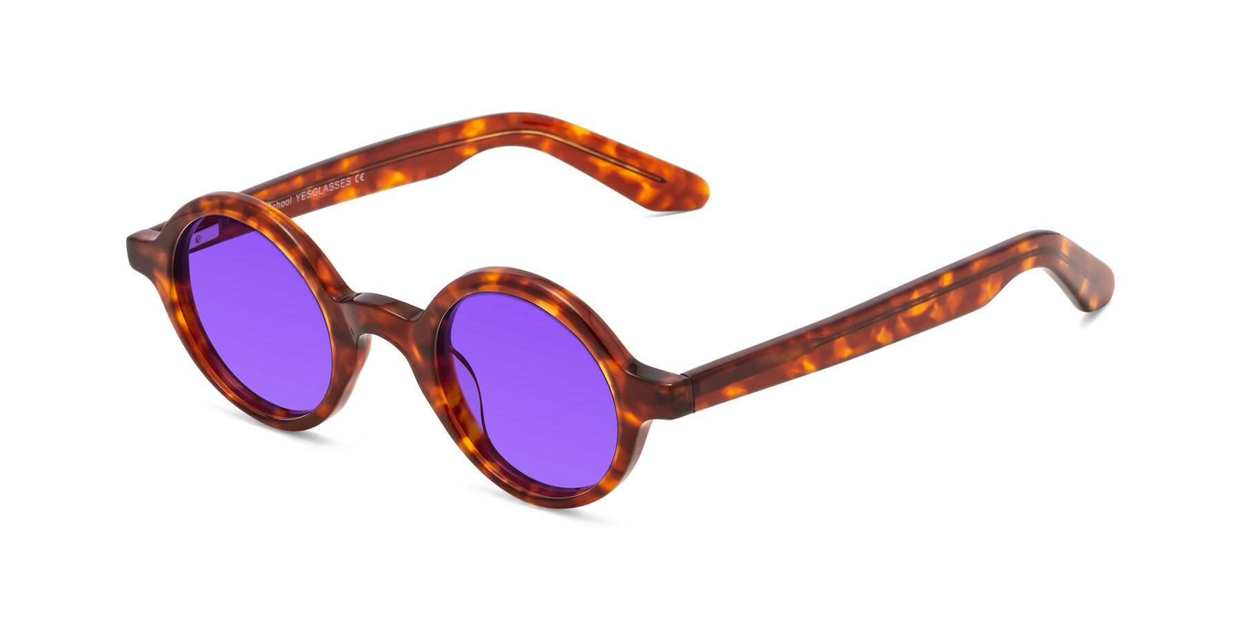 Angle of School in Tortoise with Purple Tinted Lenses